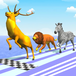 Animal Race
