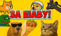За шаву!