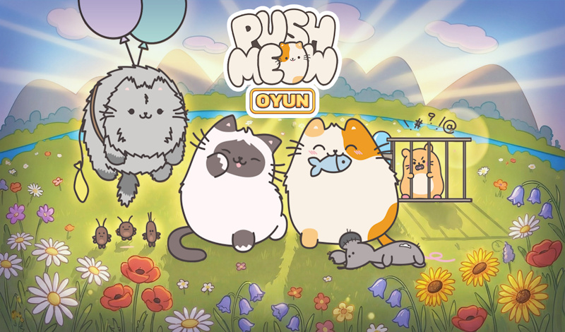 PushMeow Oyun
