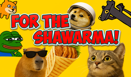 For the shawarma!