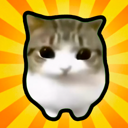 Кот оценивает!