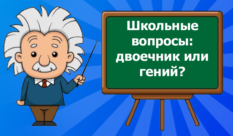 Школьные вопросы: двоечник или гений? game cover