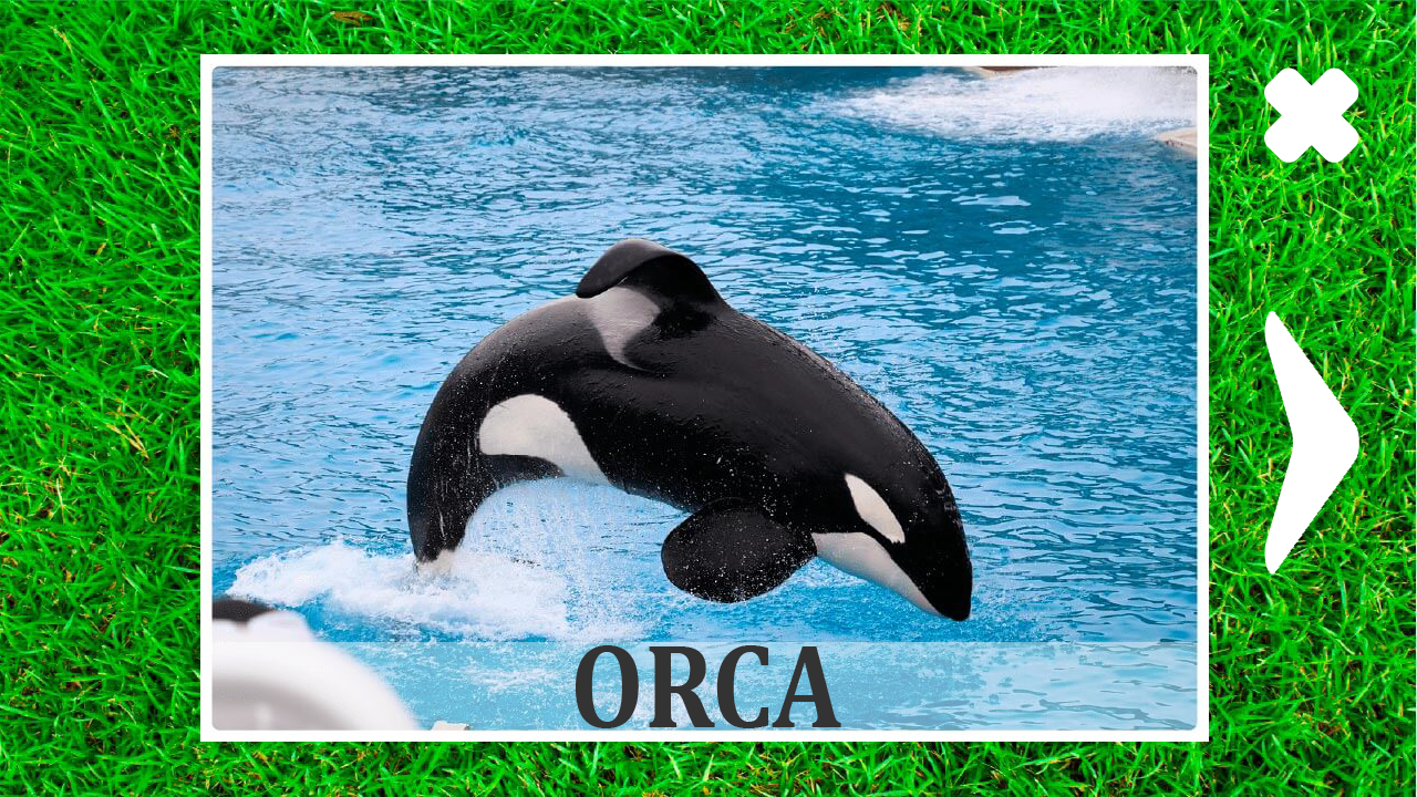 Animals for kids and their sounds — screenshot 3