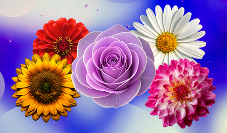 2048: Flowers merge