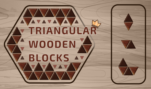 Triangular Wooden Blocks