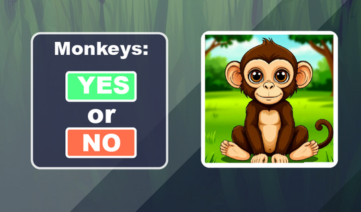 Monkeys: Yes or No