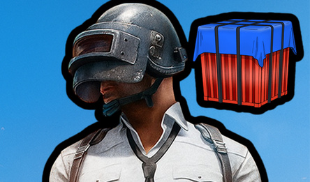 Case Simulator P