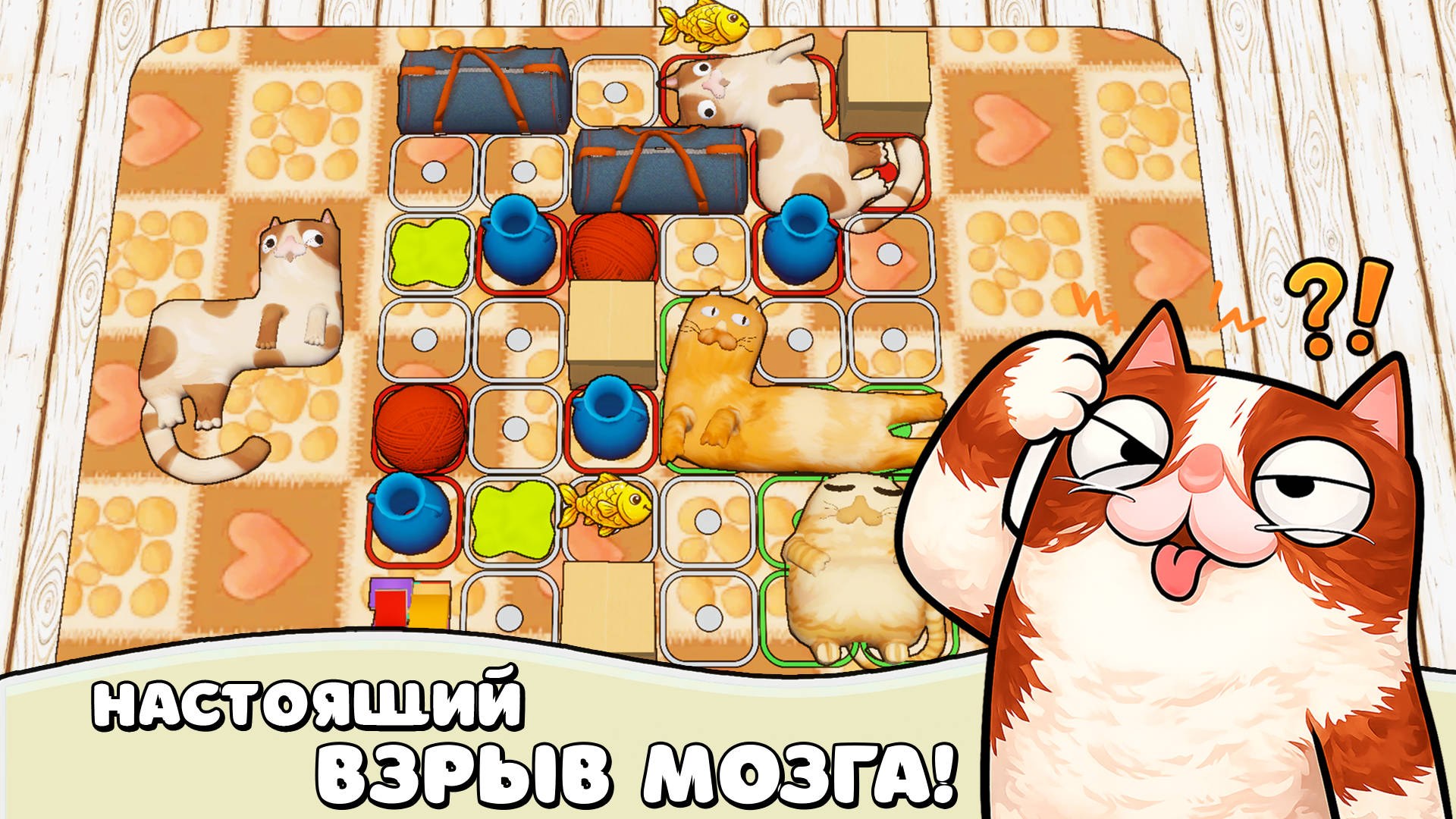 Котомино: Взорви Мозг! — screenshot 3