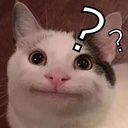 Тест: Кто ты из мемных котов?