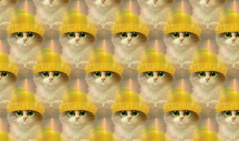 Funny Cats merge!