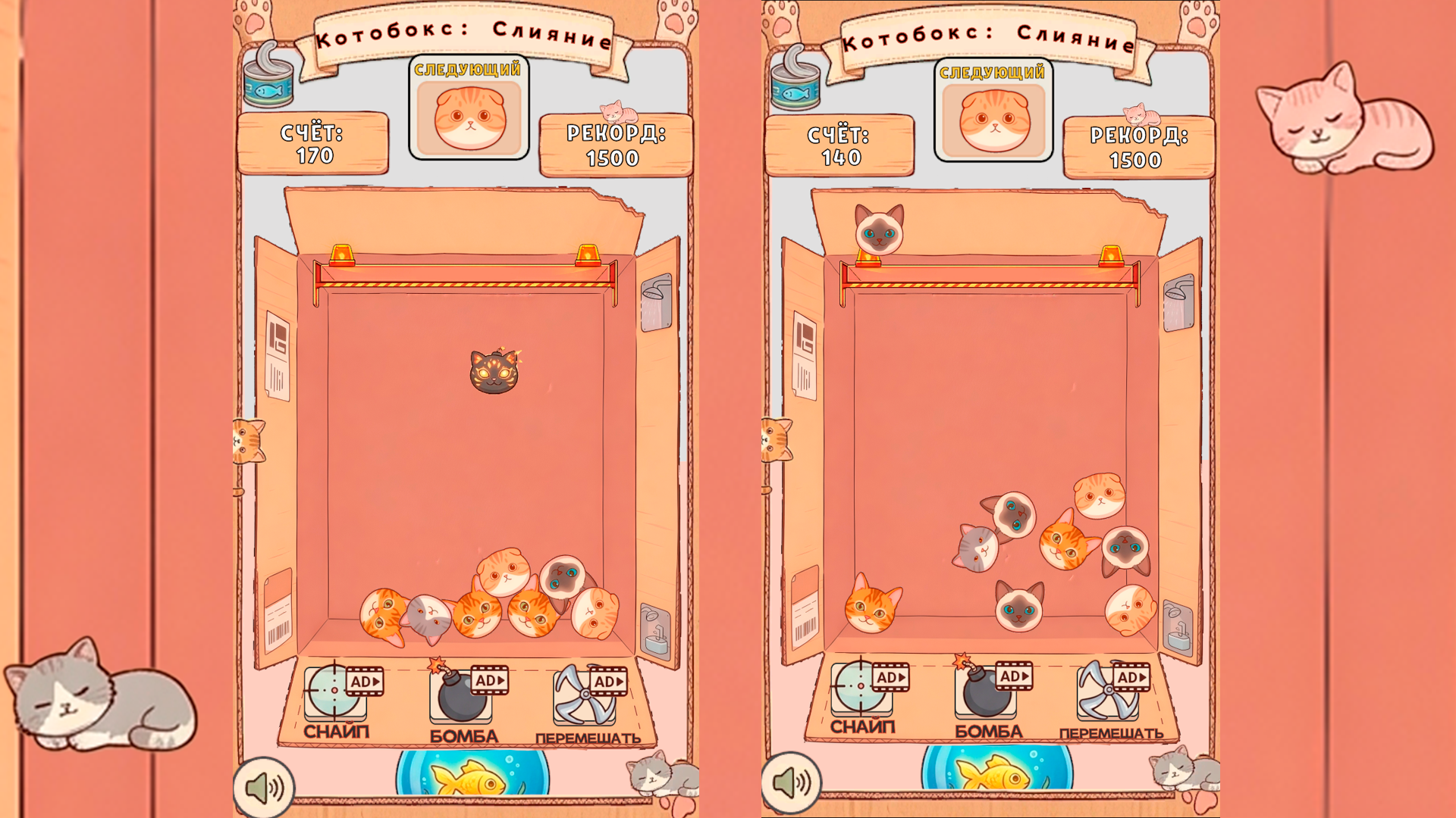 Котобокс: слияние — screenshot 2