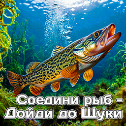 Соедини рыб - Дойди до Щуки