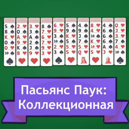 Пасьянс Паук: Коллекционная