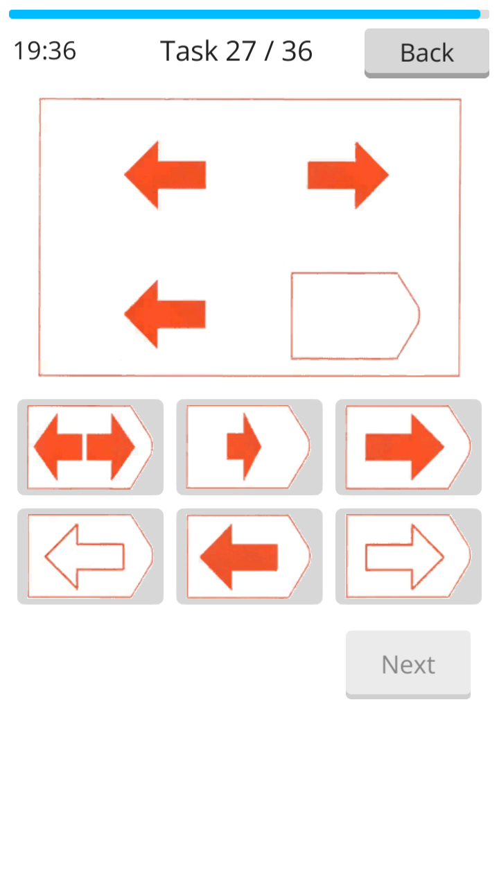 Raven IQ Test screenshot 7