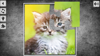 Animals Puzzles: Jigsaw Puzzle Game