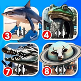 Guess the Italian Animal by Sound! All the memes!