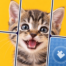 Puzzle Solitaire: Mind Games