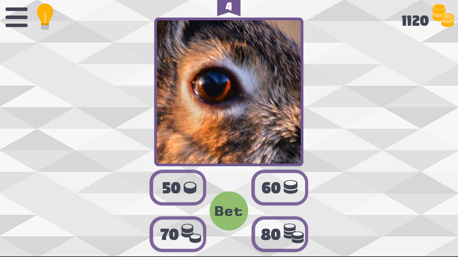 ZooQuiz: 200+ Animal Questions — screenshot 6