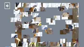 Dog Mosaic: Relaxing Puzzle