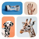 What's in Common? Guess the Word from the Photos