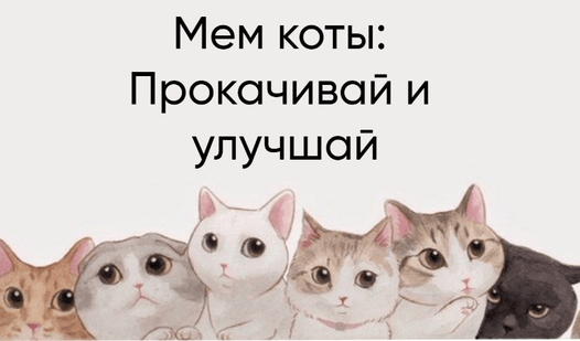 Мем с котом и бумажками I uploaded a larger image but Pinterest changed the image size you get when you
