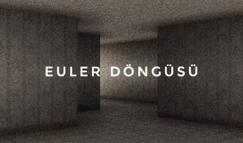 Euler Döngüsü