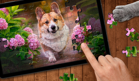 Relax Jigsaw Puzzles