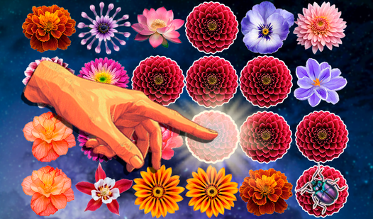 Bubble Pop Flowers: Petal Magic