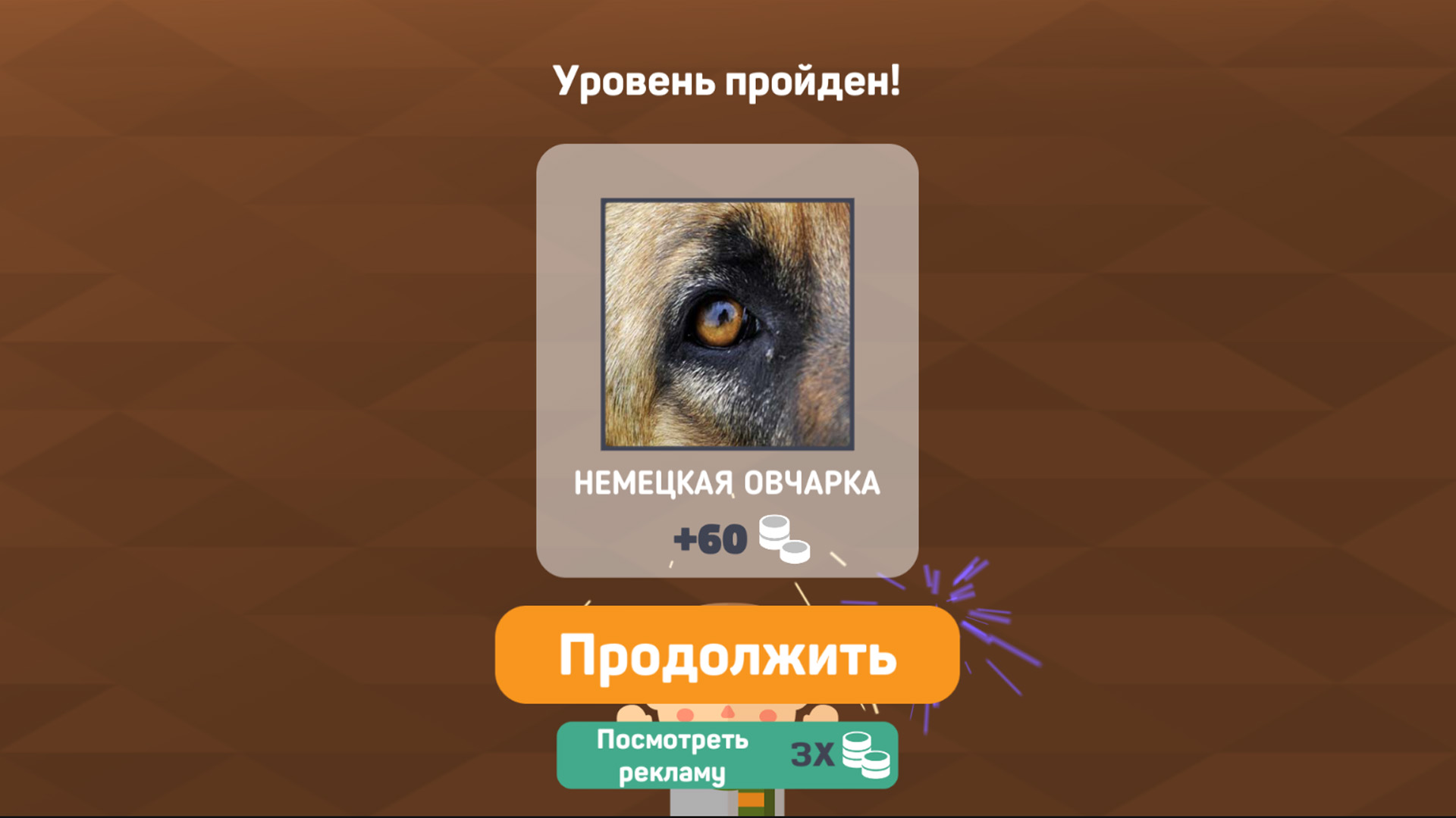 ЗооКвиз: 200+ Заданий о Животных — screenshot 12