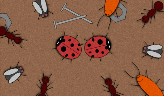 Attack of the Bugs
