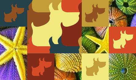 Doggies - Bunch of puzzles