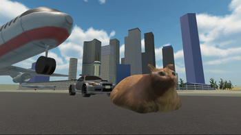 Drift Cat