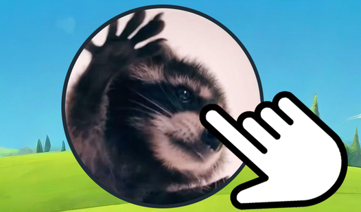 Clicker: Pedro the Raccoon!