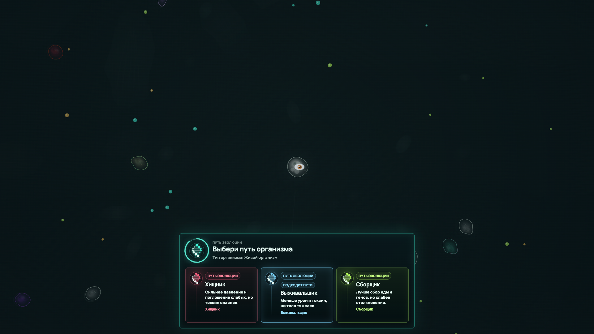 Sporio — screenshot 3