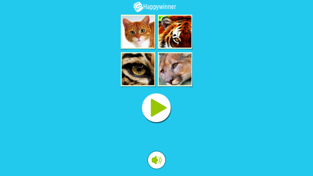 4 Photos and a Word screenshot