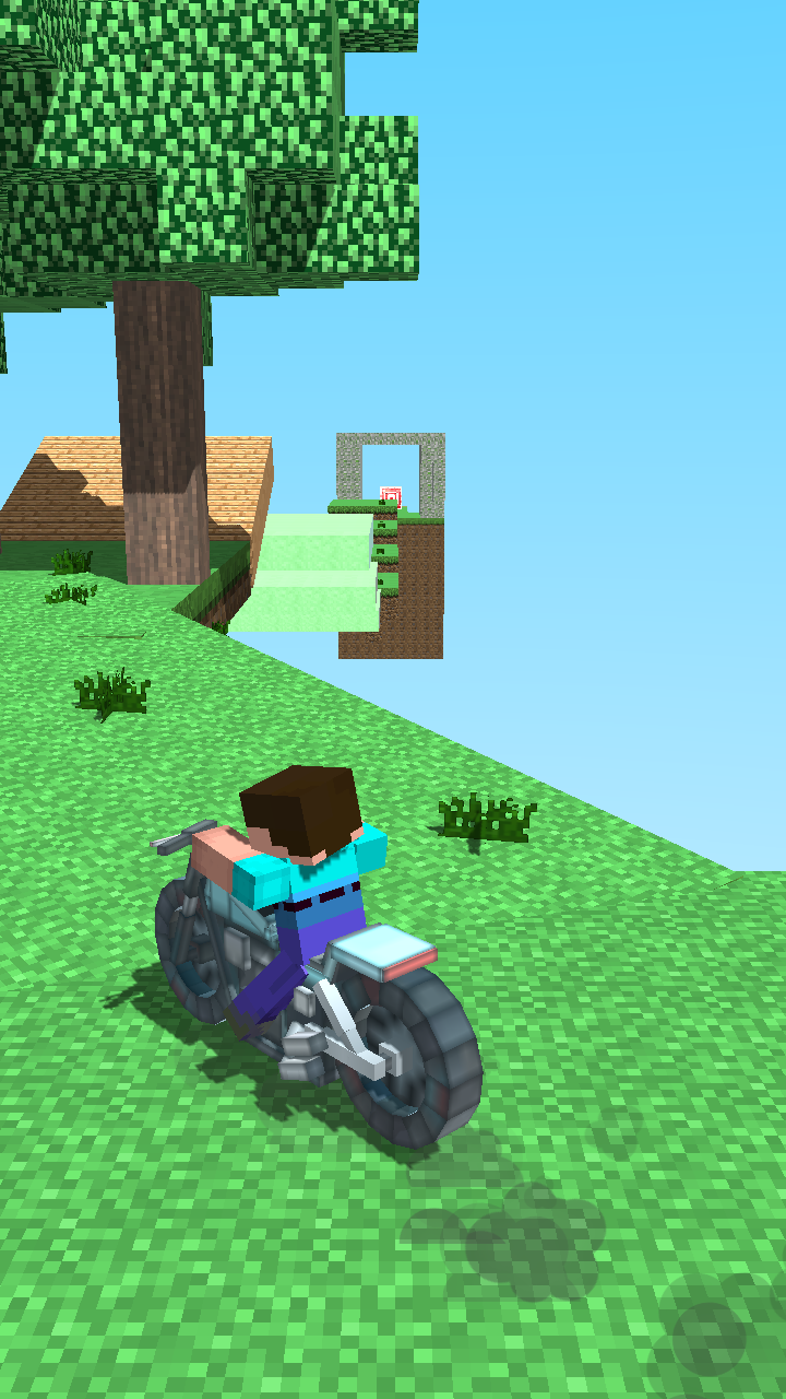 Crazy Motorcycle screenshot 8