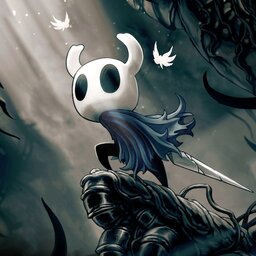 Hollow Knight