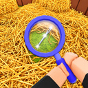 Search for the Needle!