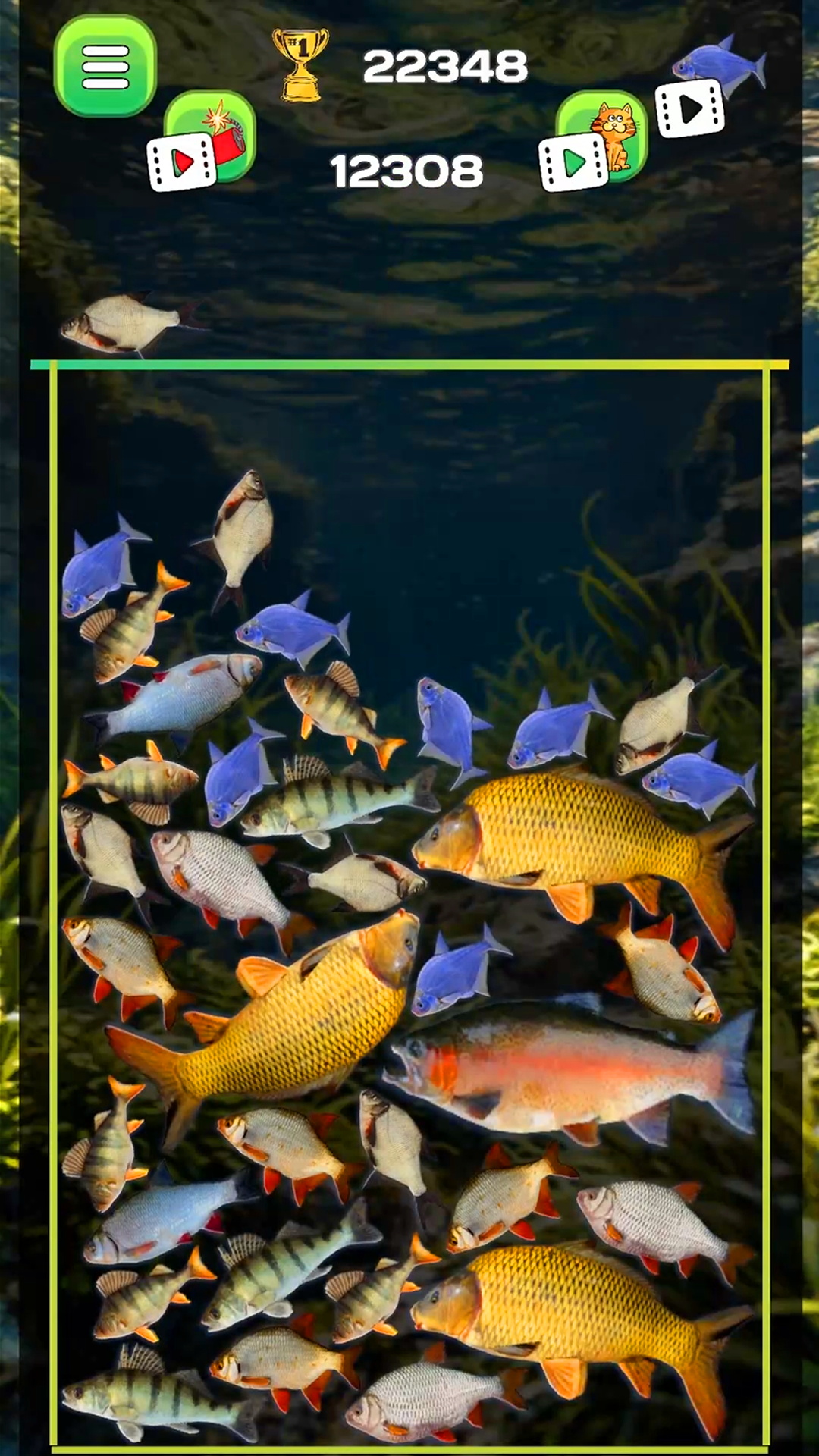 Connect the fish - Reach the Pike screenshot 6
