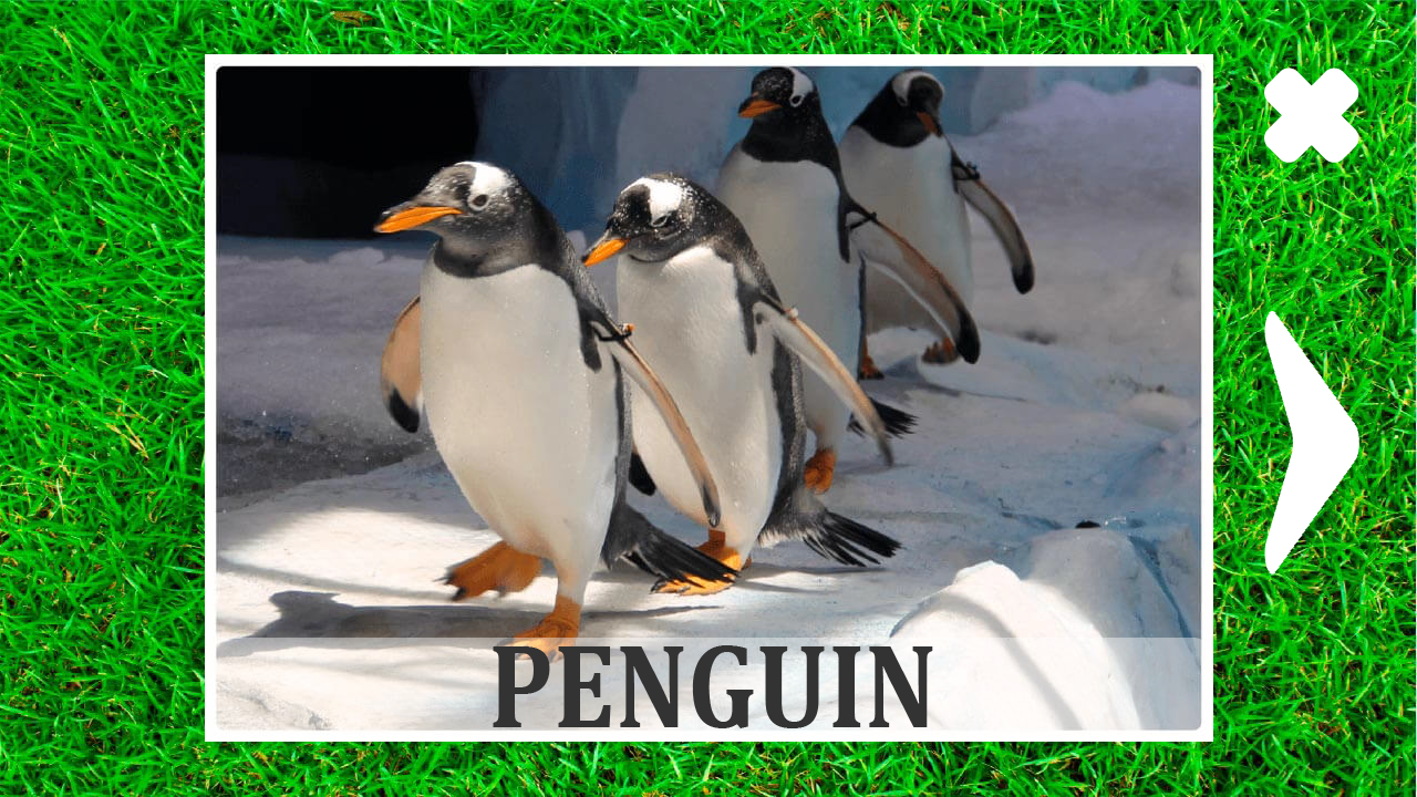 Animals for kids and their sounds — screenshot 11