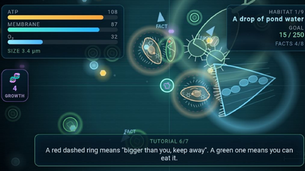 Bacteria Simulator — screenshot 5