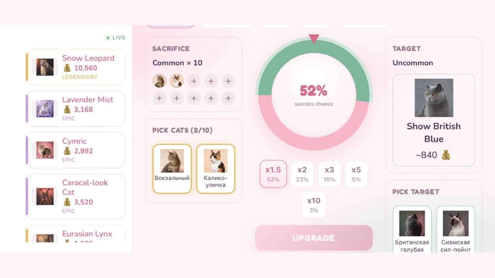 CatsCase — screenshot 6