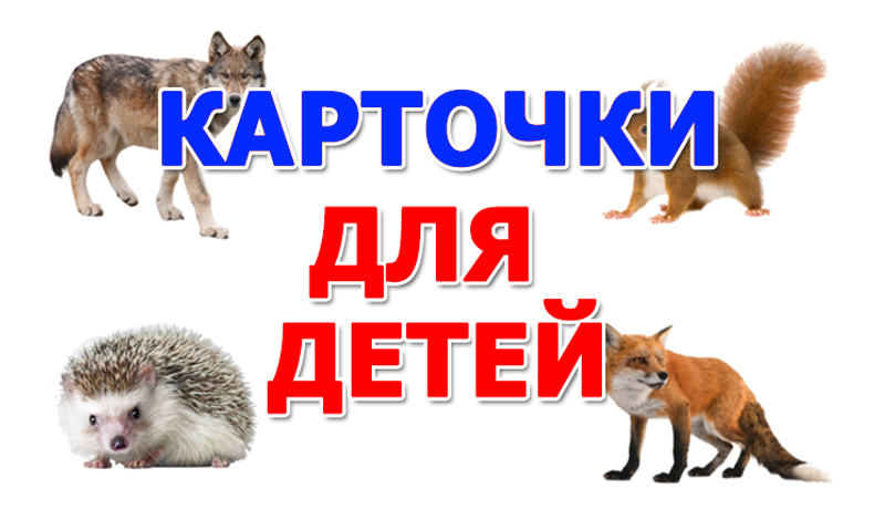 Flashcards for children game cover