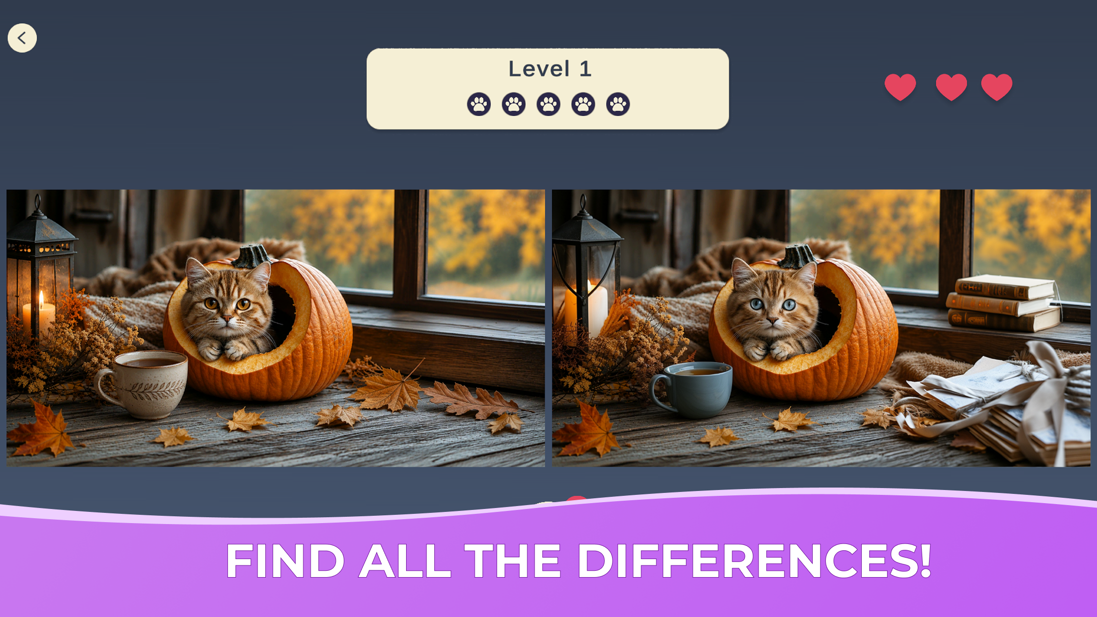 Spot the Difference: Cozy Cats screenshot
