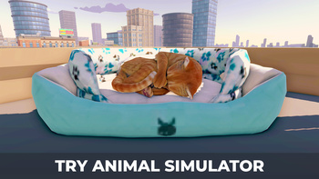Cat Simulator in the City