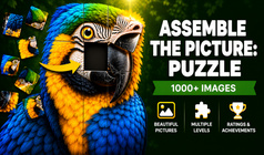 Assemble the Picture: Puzzle