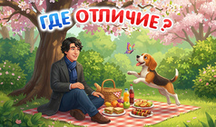 Где Отличие?