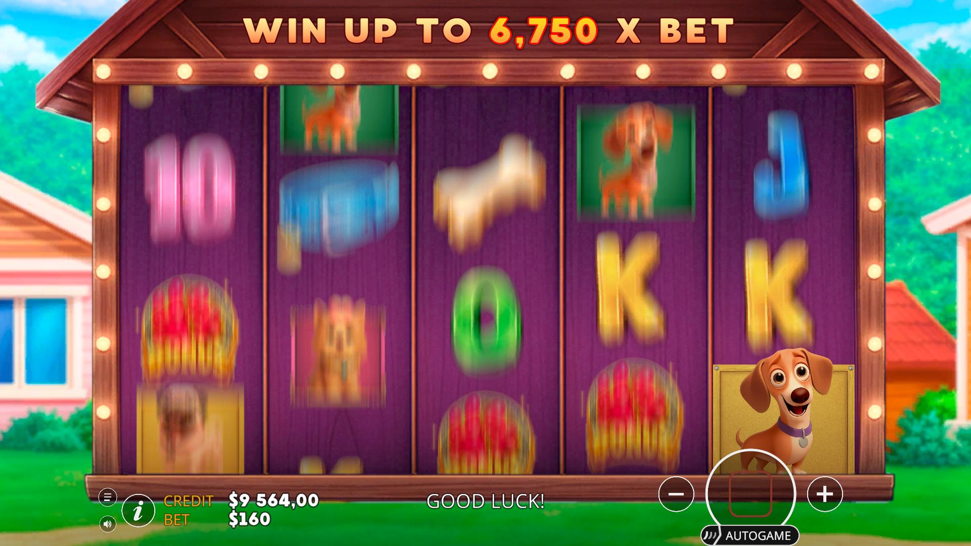 Slot Machine: Dogs! — screenshot 7