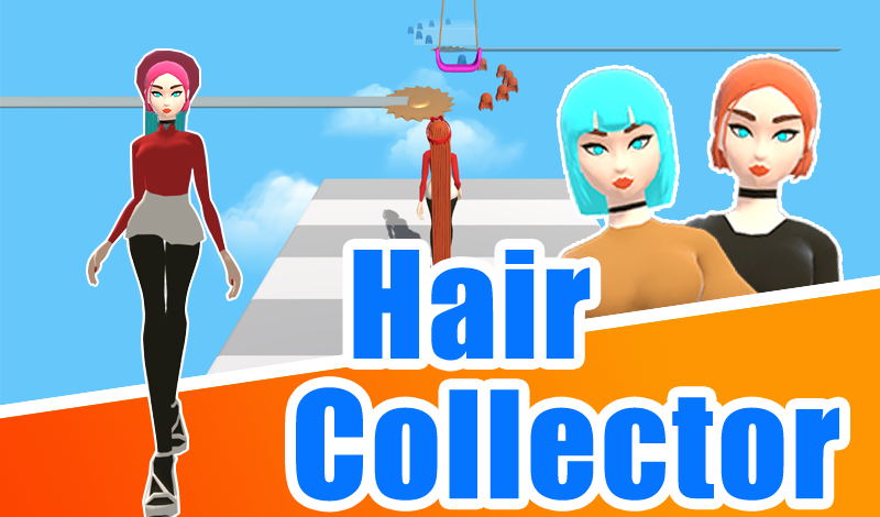 Hair Collector game cover