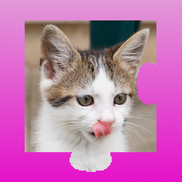 Милые котята пазл